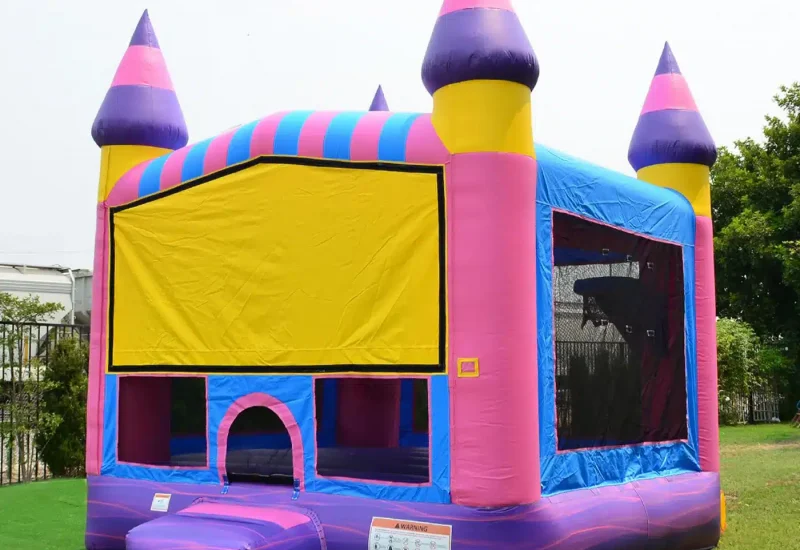 Bounce House Rentals, Inflatable Party Rentals and More Luxy Bounce in Delaware